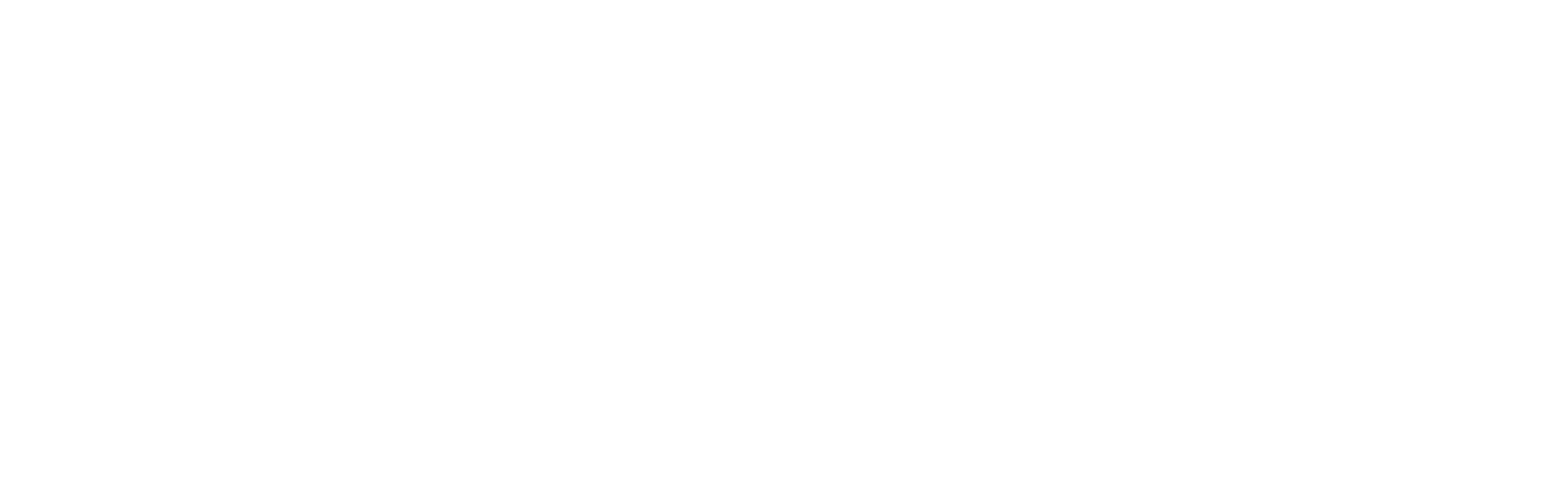 Codename Sunday Logo